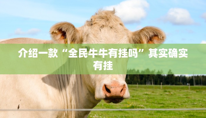 玩家必看教程“福建大玩家十三水怎么拿好牌”(原来确实是有挂)
