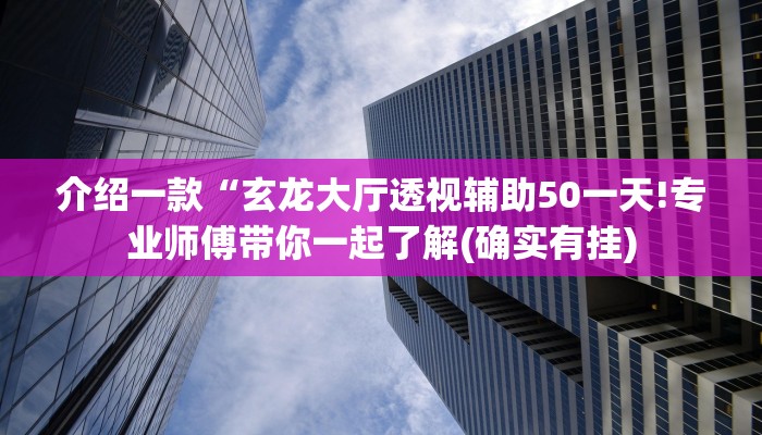 介绍一款“玄龙大厅透视辅助50一天!专业师傅带你一起了解(确实有挂)