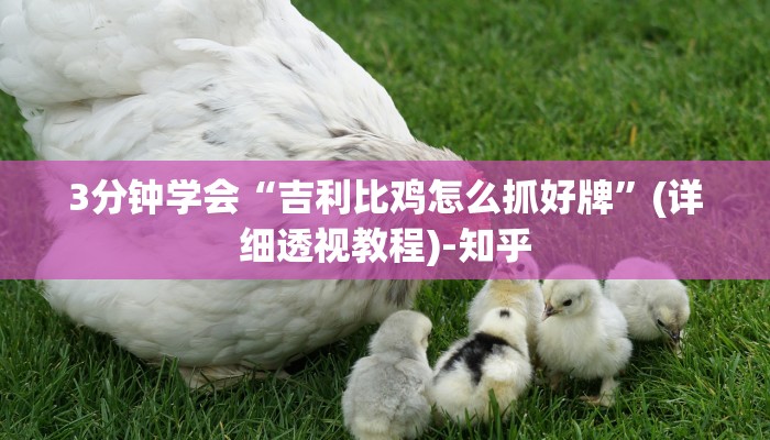 3分钟学会“吉利比鸡怎么抓好牌”(详细透视教程)-知乎