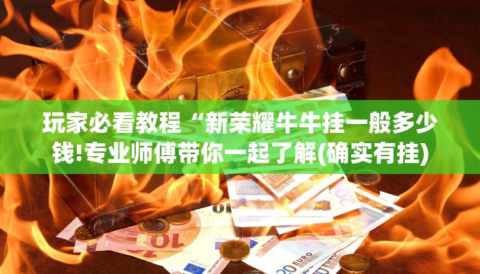 玩家必看教程“新荣耀牛牛挂一般多少钱!专业师傅带你一起了解(确实有挂)