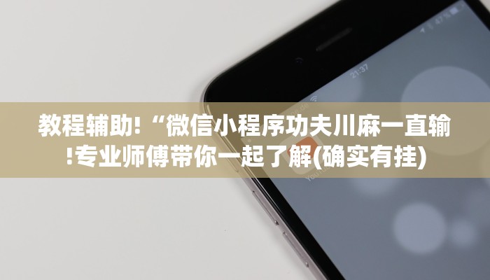 教程辅助!“微信小程序功夫川麻一直输!专业师傅带你一起了解(确实有挂)