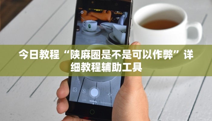 今日教程“陕麻圈是不是可以作弊”详细教程辅助工具