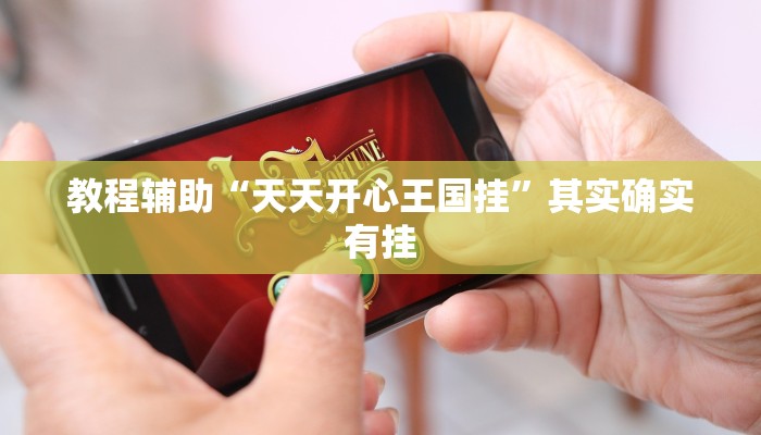 教程辅助“天天开心王国挂”其实确实有挂
