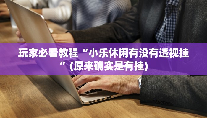 玩家必看教程“小乐休闲有没有透视挂”(原来确实是有挂)