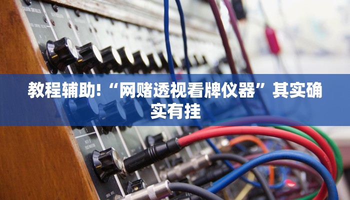 教程辅助!“网赌透视看牌仪器”其实确实有挂