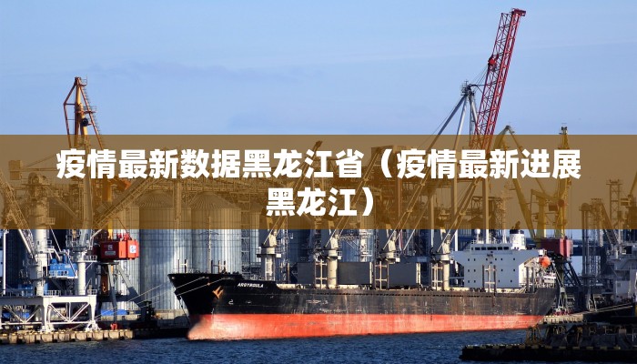 疫情最新数据黑龙江省（疫情最新进展黑龙江）
