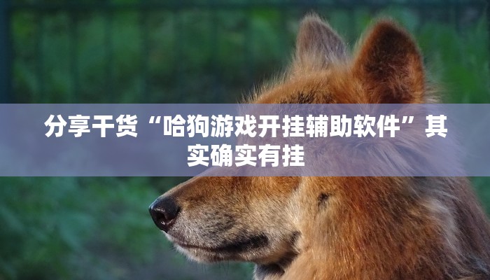 分享干货“哈狗游戏开挂辅助软件”其实确实有挂