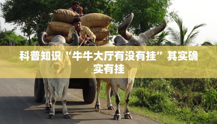 科普知识“牛牛大厅有没有挂”其实确实有挂