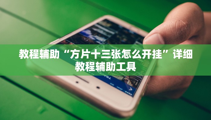 教程辅助“方片十三张怎么开挂”详细教程辅助工具