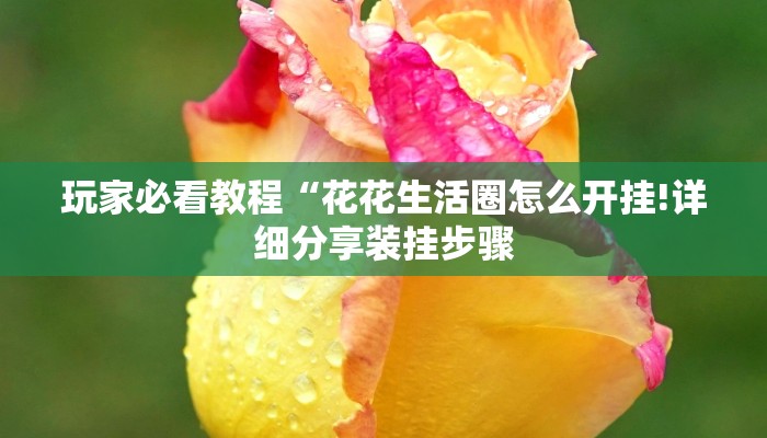 辅助开挂工具“都莱辅助器先用后付款!详细分享装挂步骤