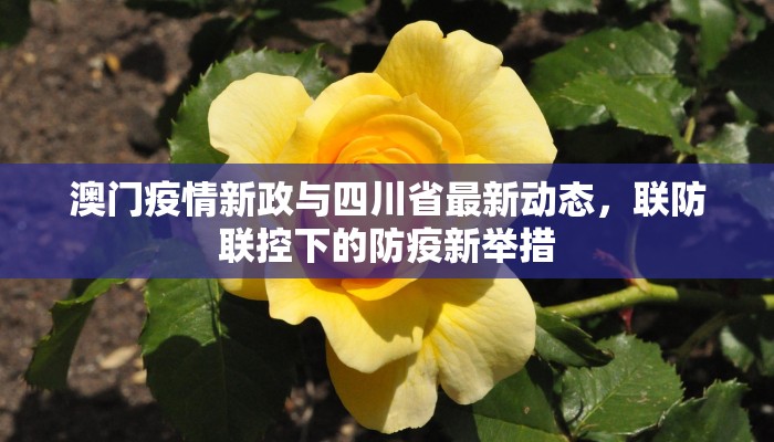 澳门疫情新政与四川省最新动态，联防联控下的防疫新举措