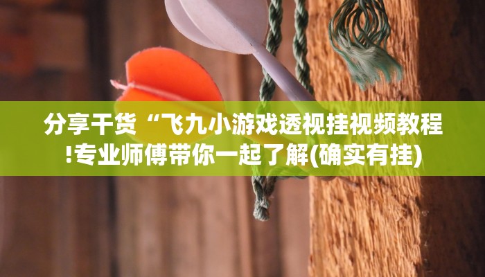 分享干货“飞九小游戏透视挂视频教程!专业师傅带你一起了解(确实有挂)