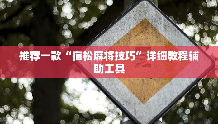 推荐一款“宿松麻将技巧”详细教程辅助工具