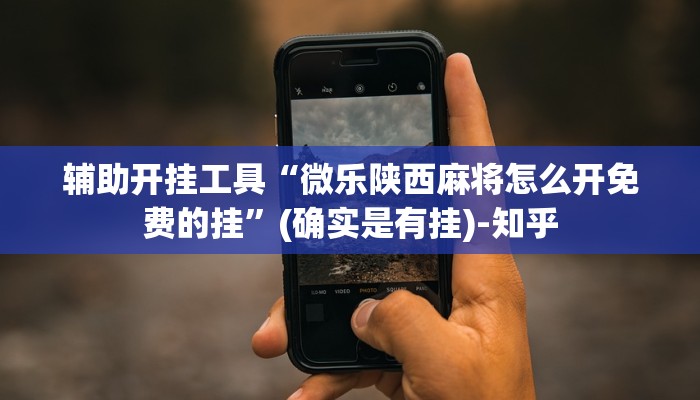 辅助开挂工具“微乐陕西麻将怎么开免费的挂”(确实是有挂)-知乎