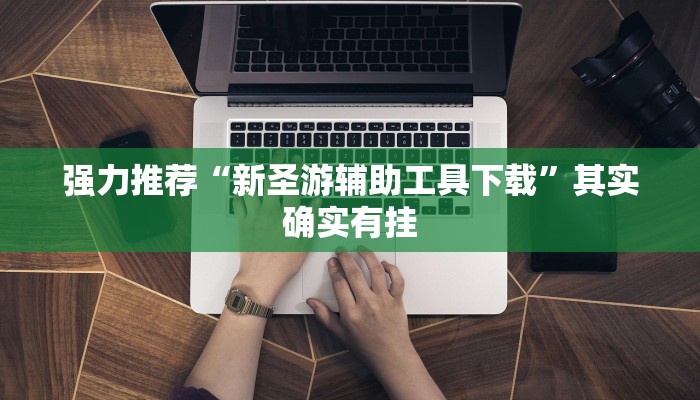强力推荐“新圣游辅助工具下载”其实确实有挂