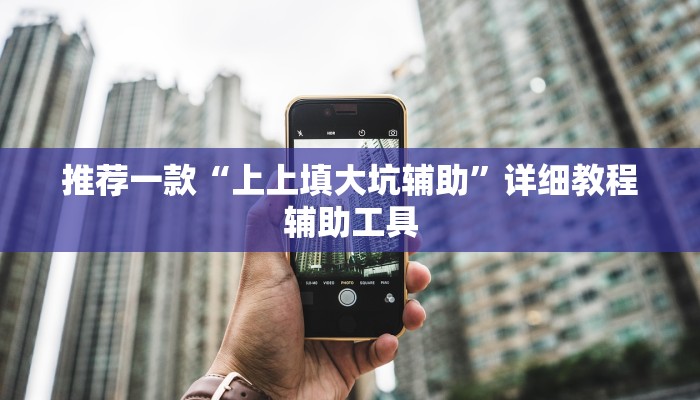 推荐一款“上上填大坑辅助”详细教程辅助工具