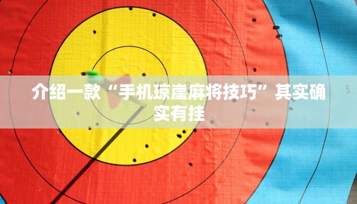 介绍一款“手机琼崖麻将技巧”其实确实有挂