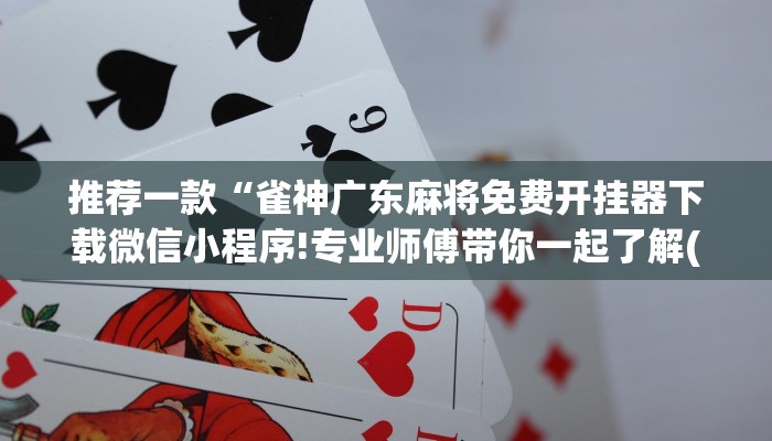 推荐一款“雀神广东麻将免费开挂器下载微信小程序!专业师傅带你一起了解(确实有挂)