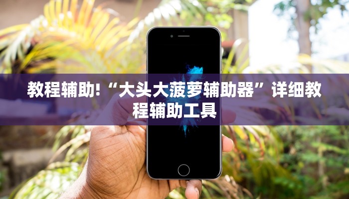 教程辅助!“大头大菠萝辅助器”详细教程辅助工具