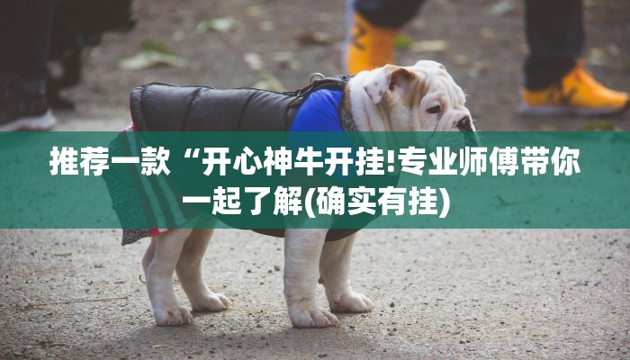 推荐一款“开心神牛开挂!专业师傅带你一起了解(确实有挂)