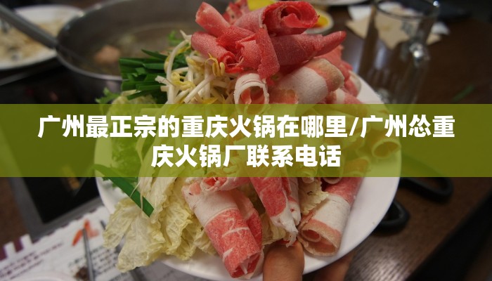 广州最正宗的重庆火锅在哪里/广州怂重庆火锅厂联系电话