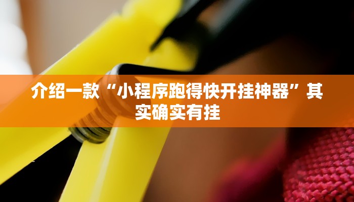 介绍一款“小程序跑得快开挂神器”其实确实有挂