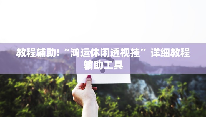 教程辅助!“鸿运休闲透视挂”详细教程辅助工具