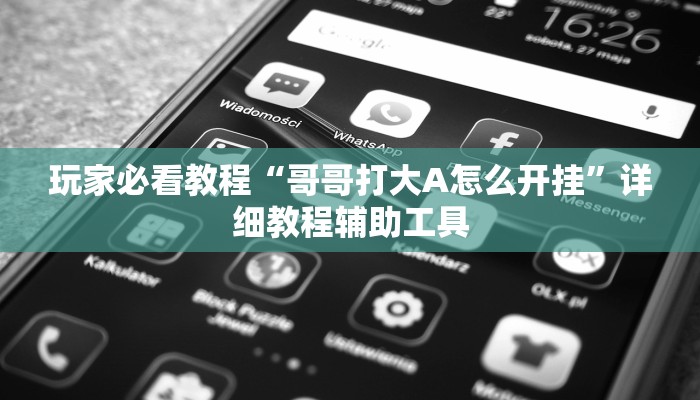 玩家必看教程“哥哥打大A怎么开挂”详细教程辅助工具