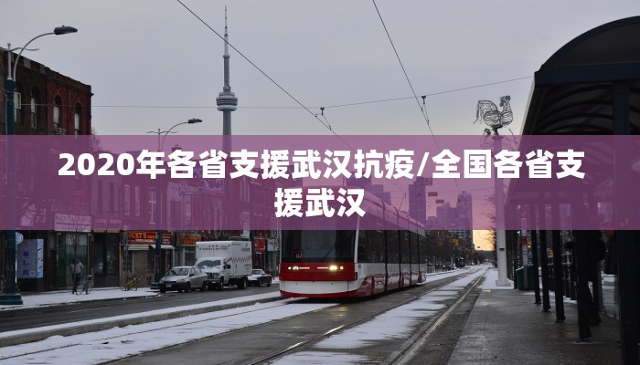 2020年各省支援武汉抗疫/全国各省支援武汉