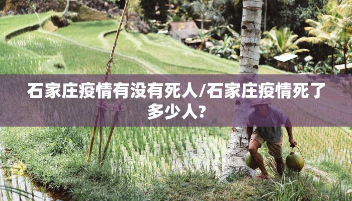石家庄疫情有没有死人/石家庄疫情死了多少人?