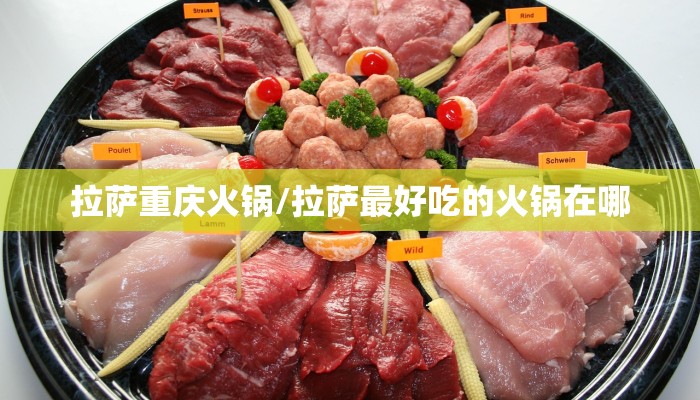 拉萨重庆火锅/拉萨最好吃的火锅在哪