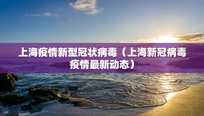 教程辅助!“手机跑胡子有挂吗”其实确实有挂