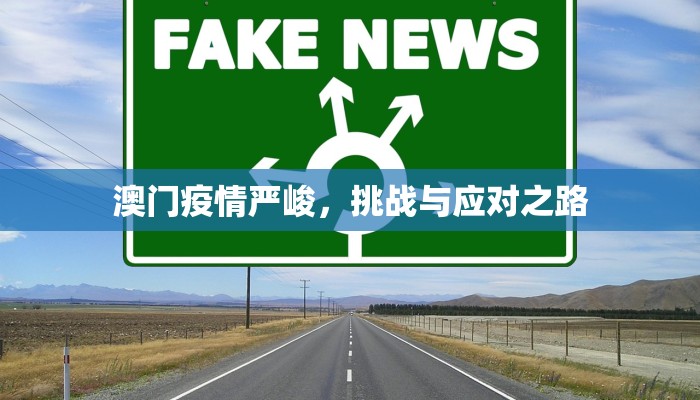 澳门疫情严峻，挑战与应对之路