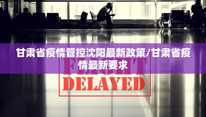 甘肃省疫情管控沈阳最新政策/甘肃省疫情最新要求