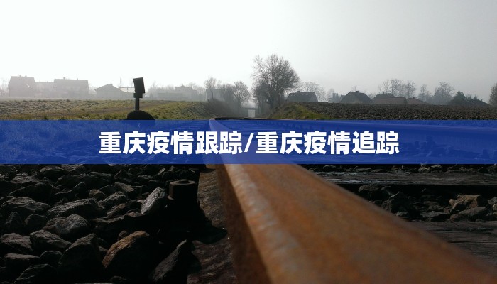 重庆疫情跟踪/重庆疫情追踪
