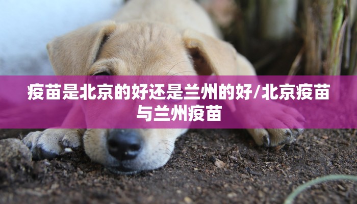 疫苗是北京的好还是兰州的好/北京疫苗与兰州疫苗
