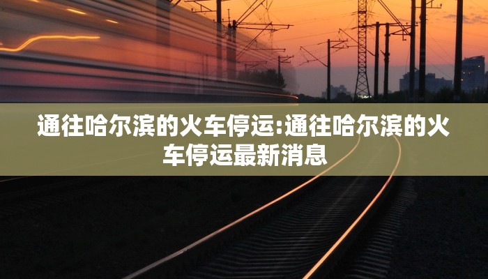 通往哈尔滨的火车停运:通往哈尔滨的火车停运最新消息