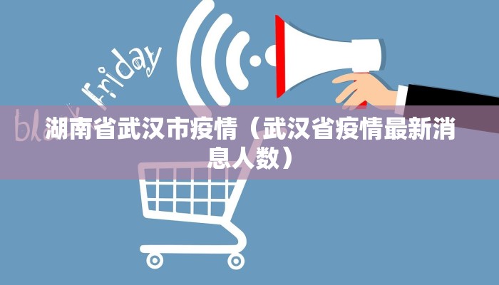 湖南省武汉市疫情（武汉省疫情最新消息人数）
