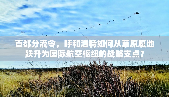 首都分流令，呼和浩特如何从草原腹地跃升为国际航空枢纽的战略支点？