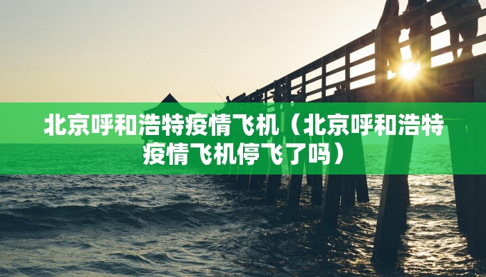 北京呼和浩特疫情飞机（北京呼和浩特疫情飞机停飞了吗）