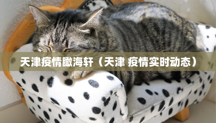 天津疫情瞰海轩（天津 疫情实时动态）