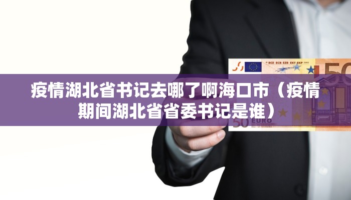 疫情湖北省书记去哪了啊海口市（疫情期间湖北省省委书记是谁）