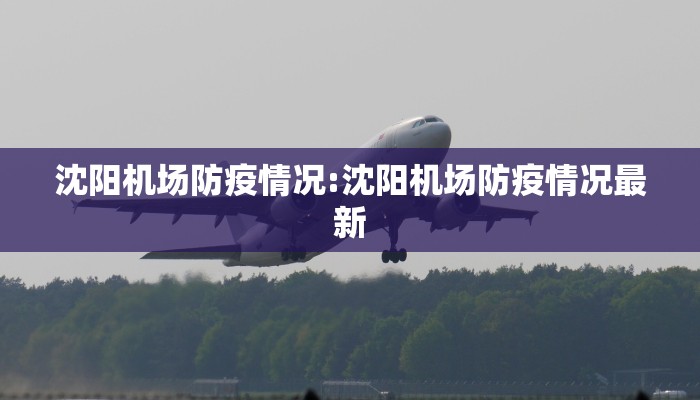 沈阳机场防疫情况:沈阳机场防疫情况最新