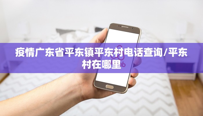 疫情广东省平东镇平东村电话查询/平东村在哪里