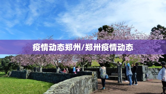 疫情动态郑州/郑卅疫情动态