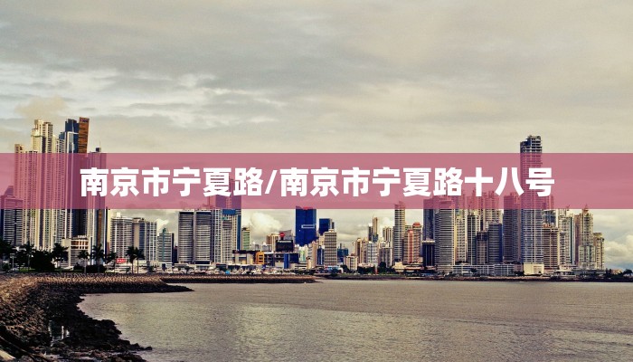 南京市宁夏路/南京市宁夏路十八号