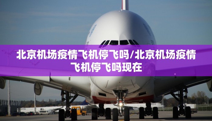 北京机场疫情飞机停飞吗/北京机场疫情飞机停飞吗现在