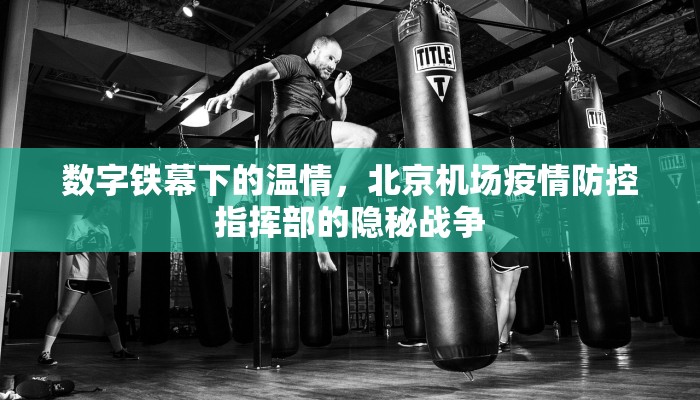 数字铁幕下的温情，北京机场疫情防控指挥部的隐秘战争