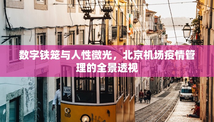 数字铁笼与人性微光，北京机场疫情管理的全景透视