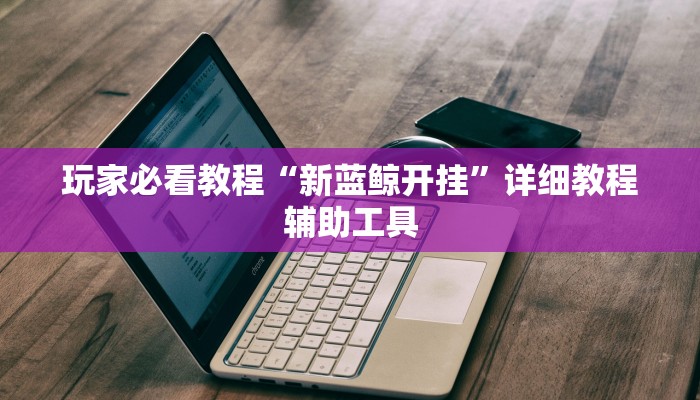 玩家必看教程“新蓝鲸开挂”详细教程辅助工具